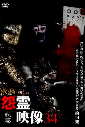 Posted Grudge Spirit Footage Vol.34: Warning Edition poster