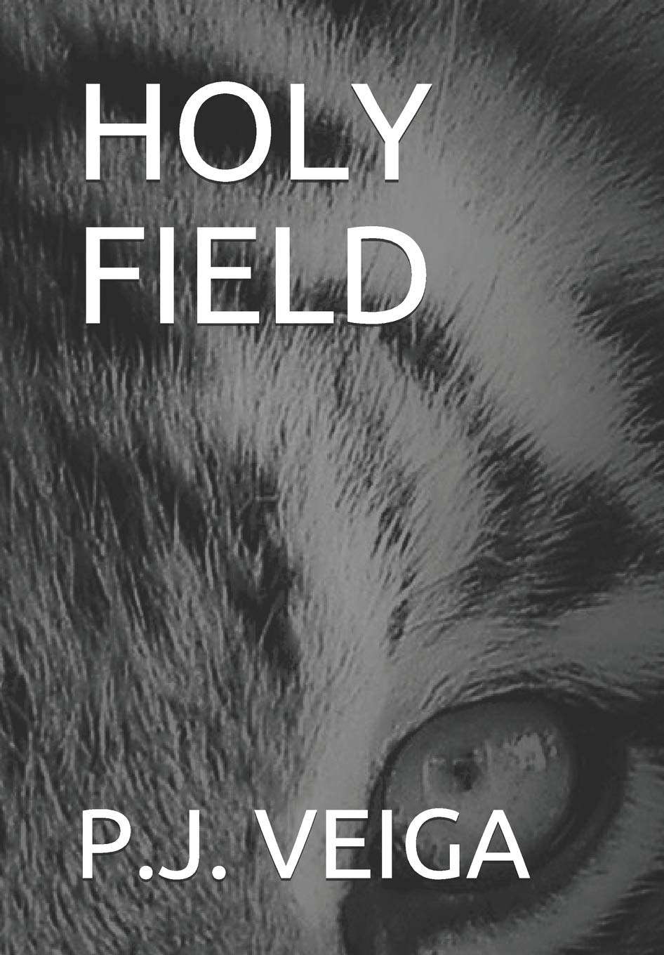HOLY FIELD (BEAUTIFUL CROSS) poster