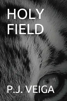 HOLY FIELD (BEAUTIFUL CROSS) poster