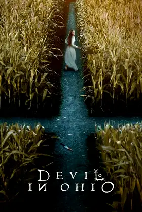 Devil in Ohio poster