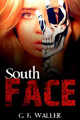 South Face poster