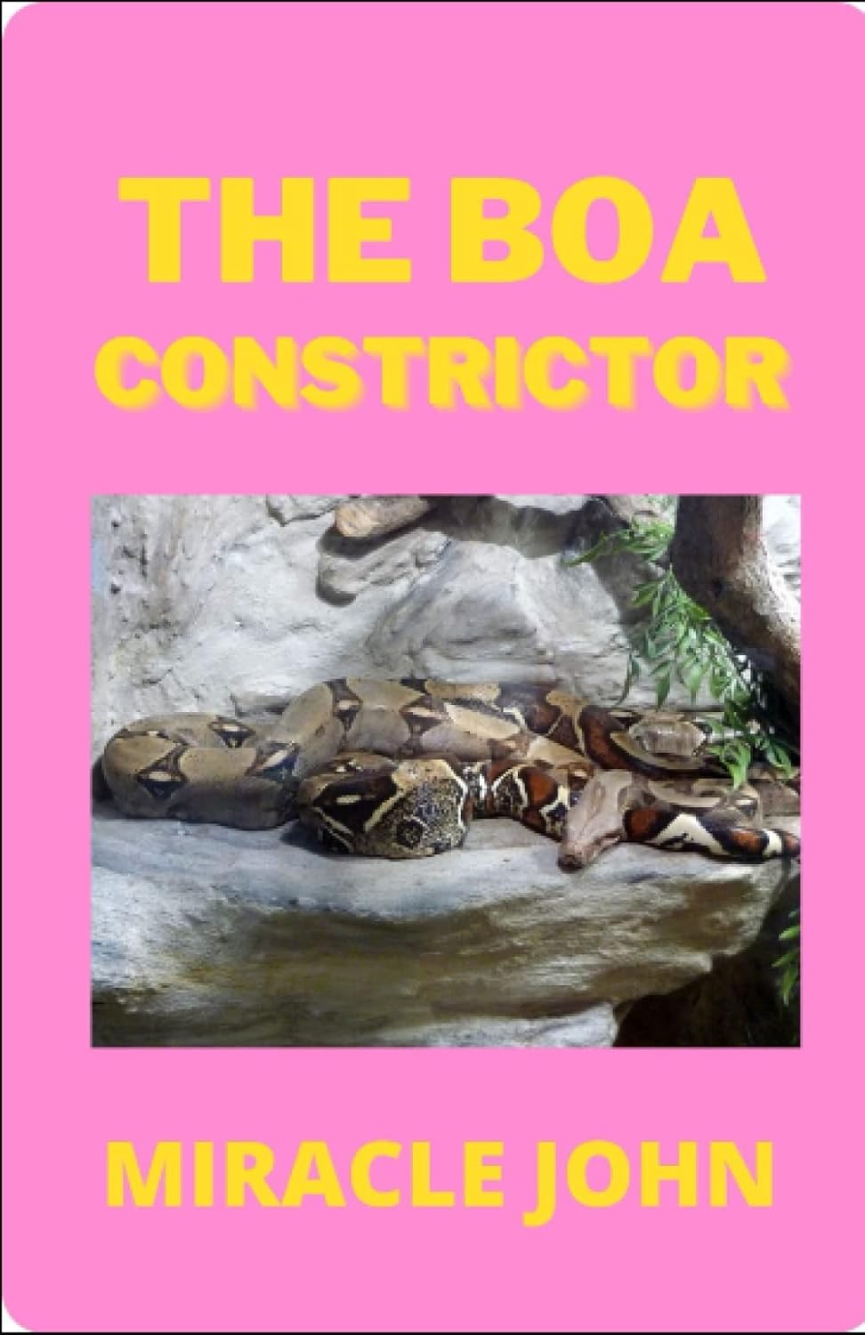 THE BOA CONSTRICTOR poster