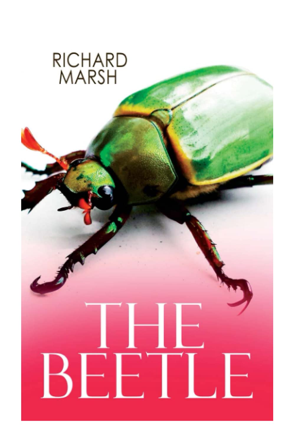 The Beetle: Supernatural Horror Thriller poster