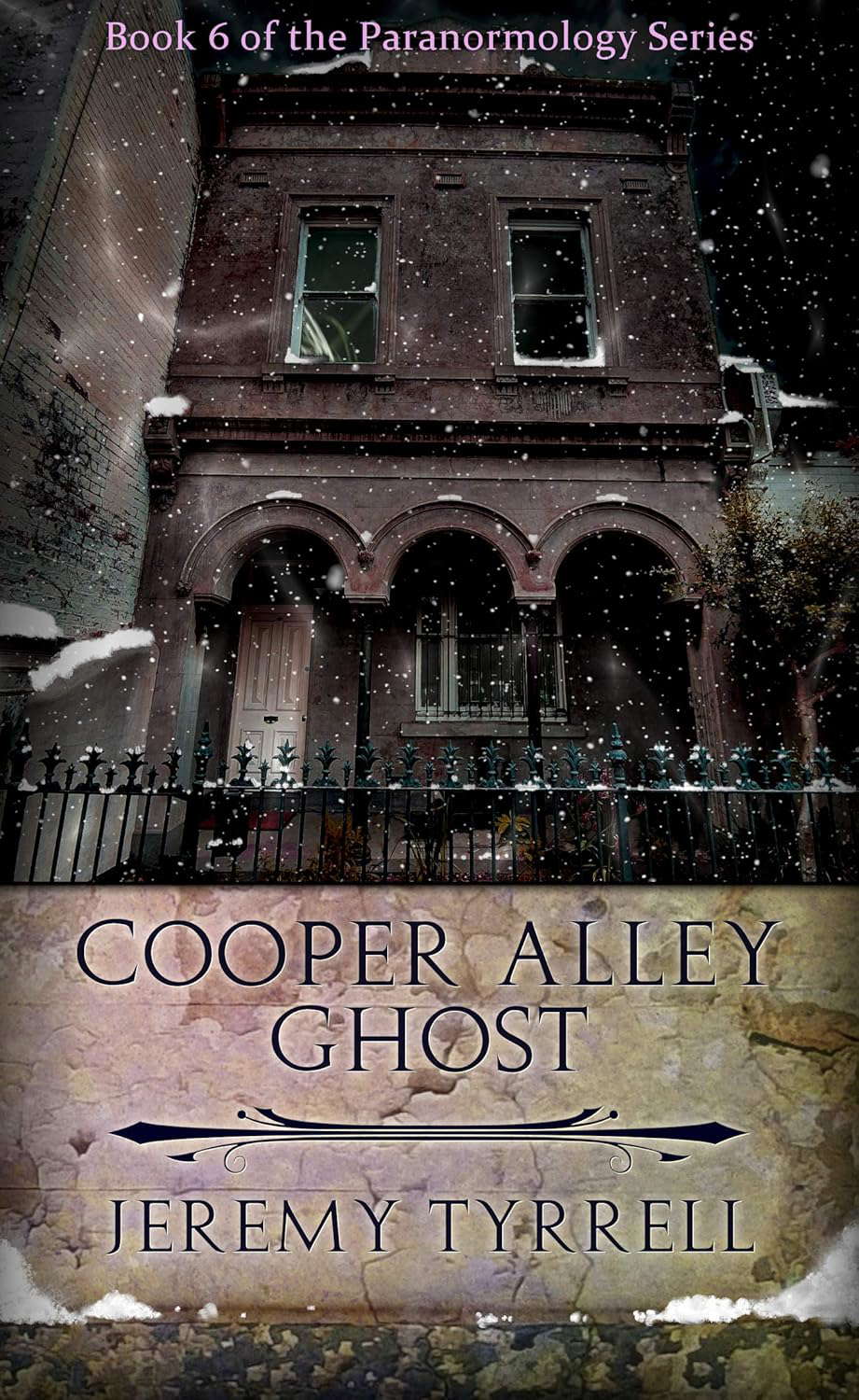 Cooper Alley Ghost (Paranormology Book 6) poster