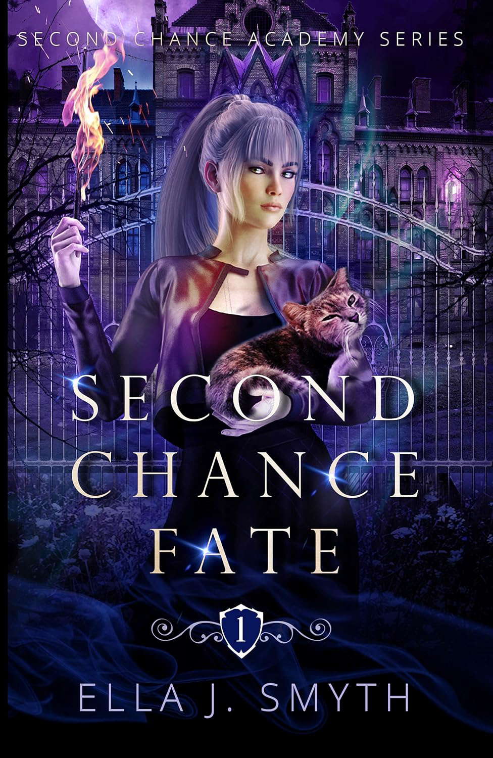 Second Chance Fate: Book One of the Second Chance Academy series poster
