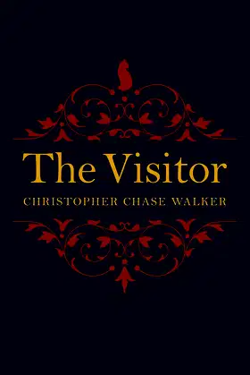 The Visitor poster