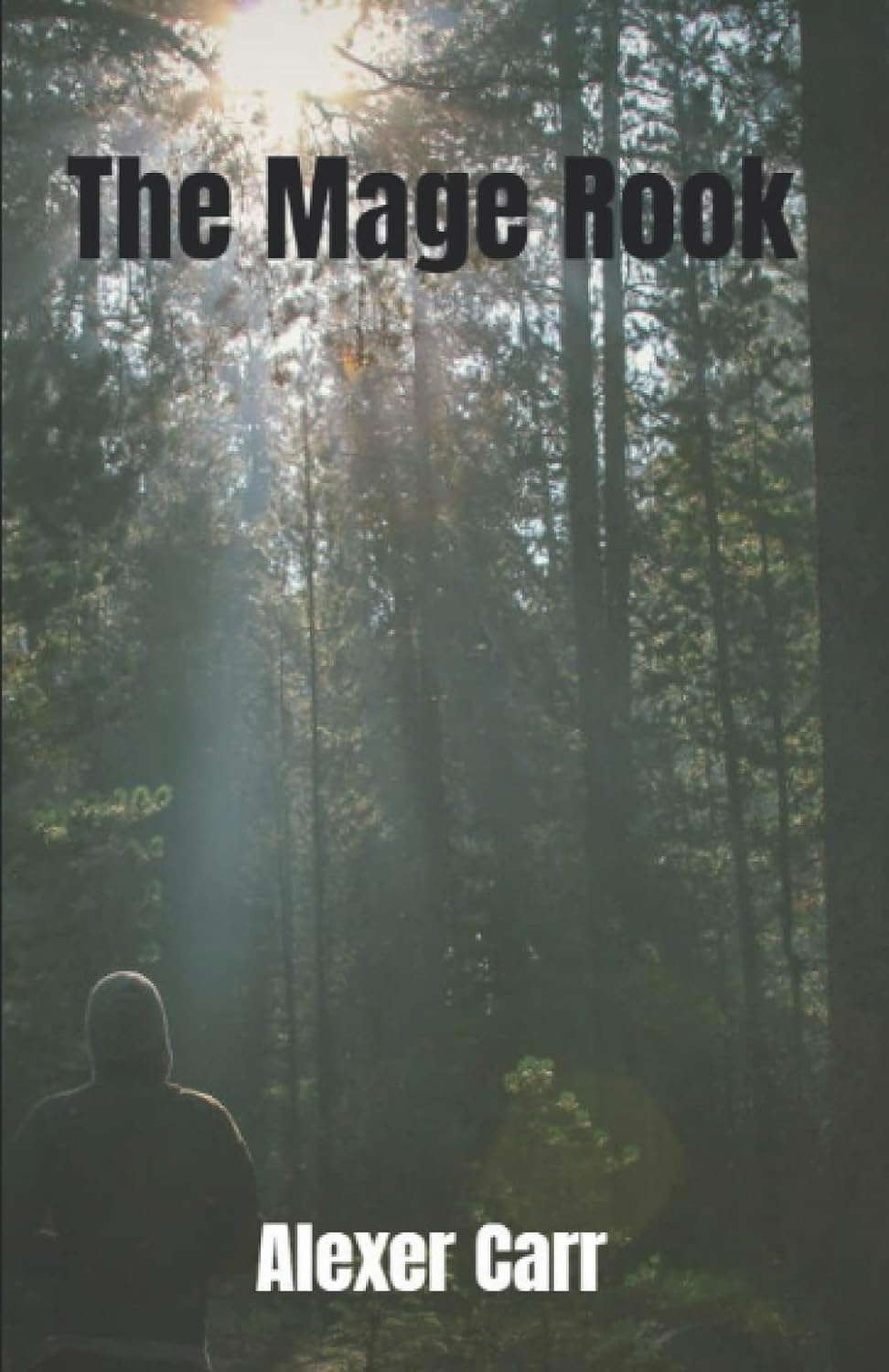 The Mage Rook: A Verrenum story poster