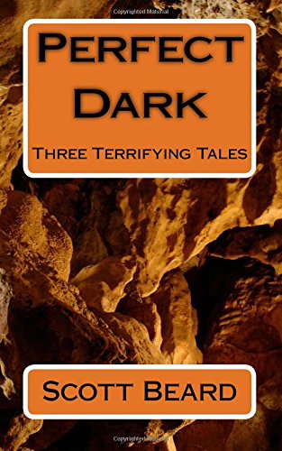 Perfect Dark: Three Terrifying Tales poster