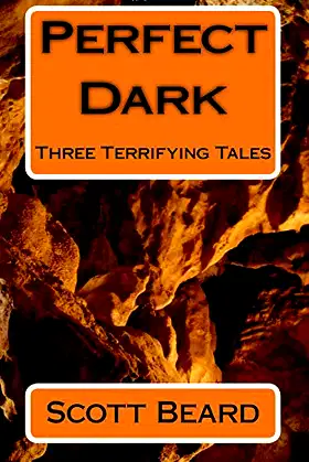 Perfect Dark: Three Terrifying Tales poster