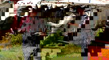 episode poster