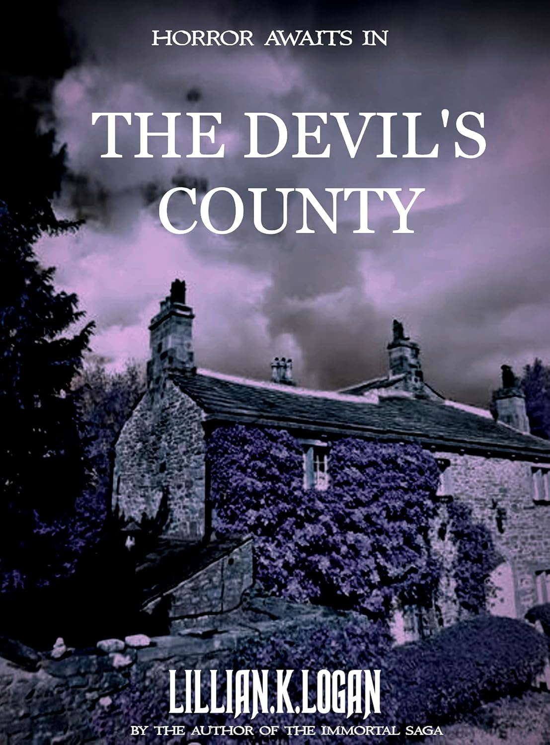 The Devil's County. poster