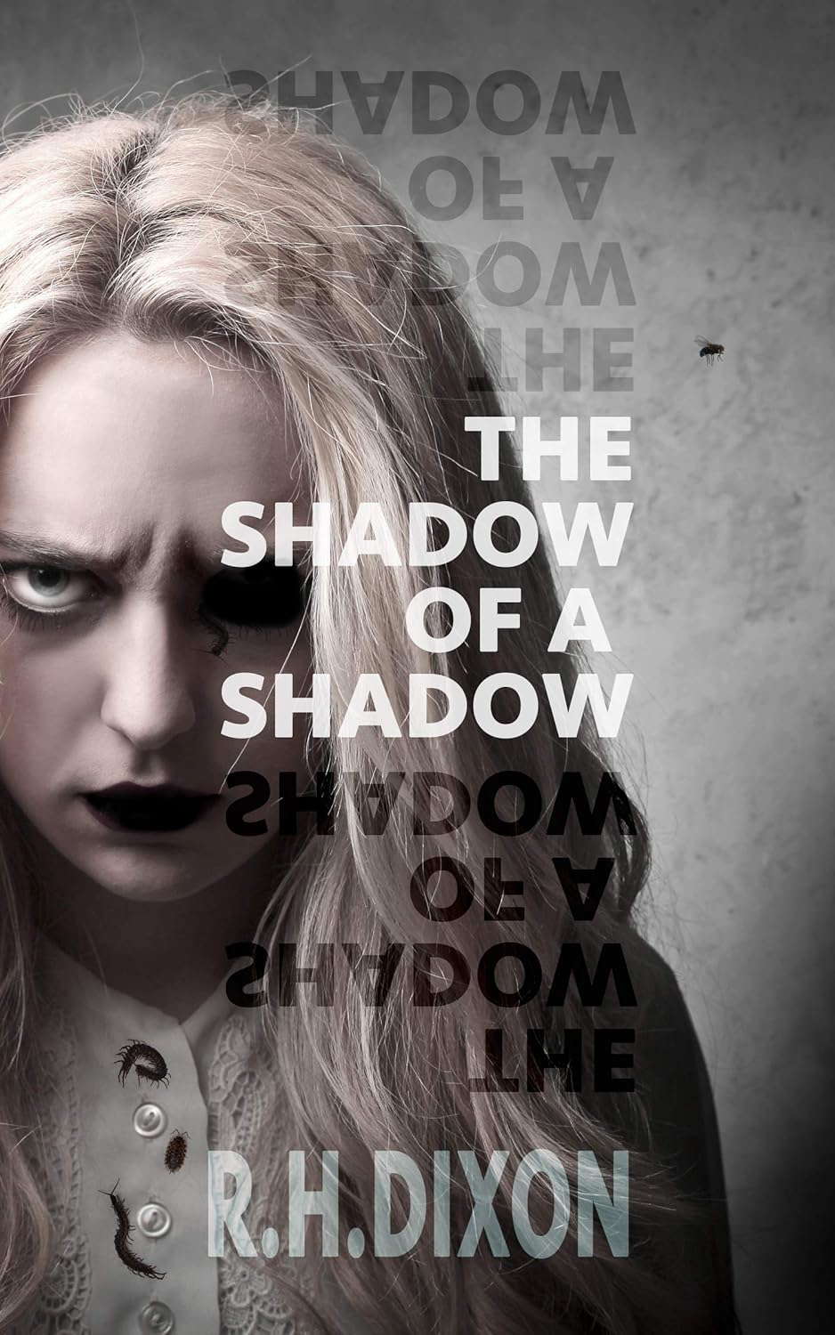 The Shadow of a Shadow poster
