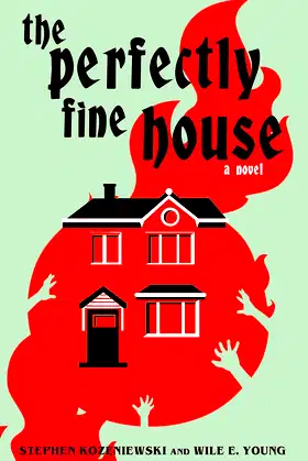 The Perfectly Fine House poster