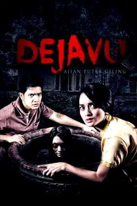 Dejavu poster
