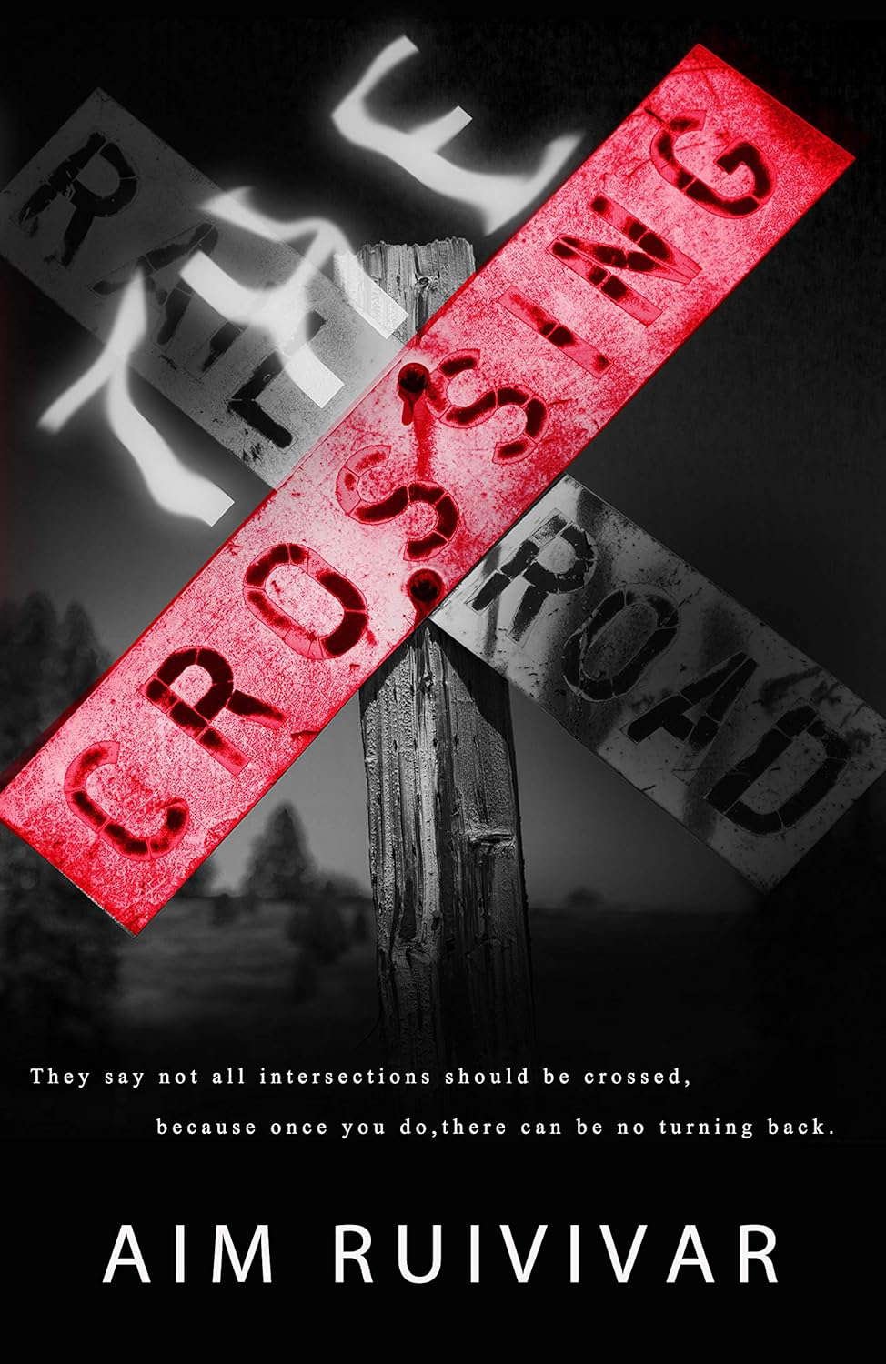 The Crossing poster