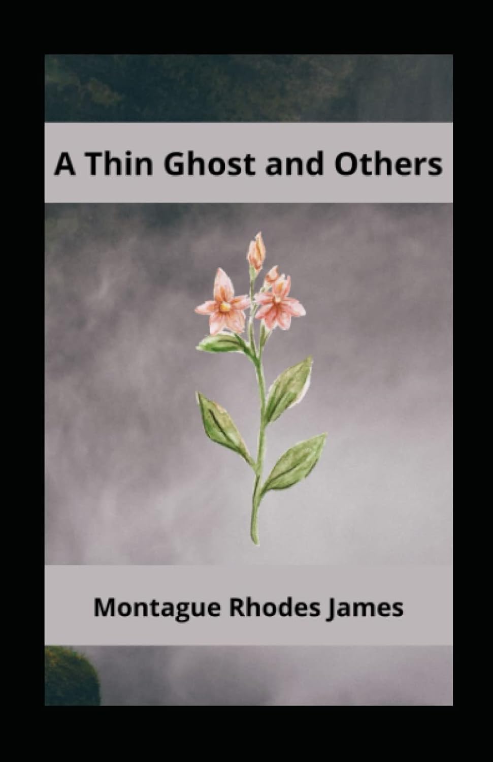 A Thin Ghost And Others Annotated(illustrated edition) poster