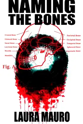 Naming The Bones: Dark Minds Novella 5 poster