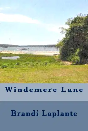Windemere Lane poster