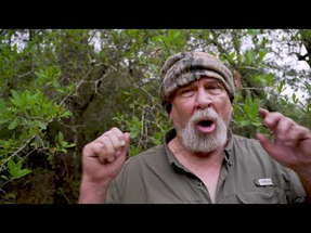 Bigfoot prophecy  For those that believe poster