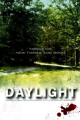 Daylight poster