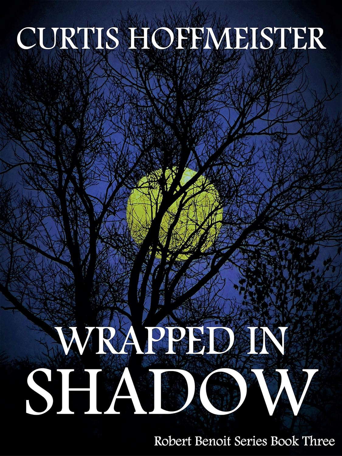 Wrapped in Shadow (Robert Benoit Series Book 3) poster