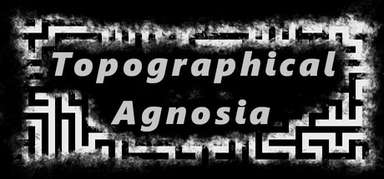 Topographical Agnosia capsule