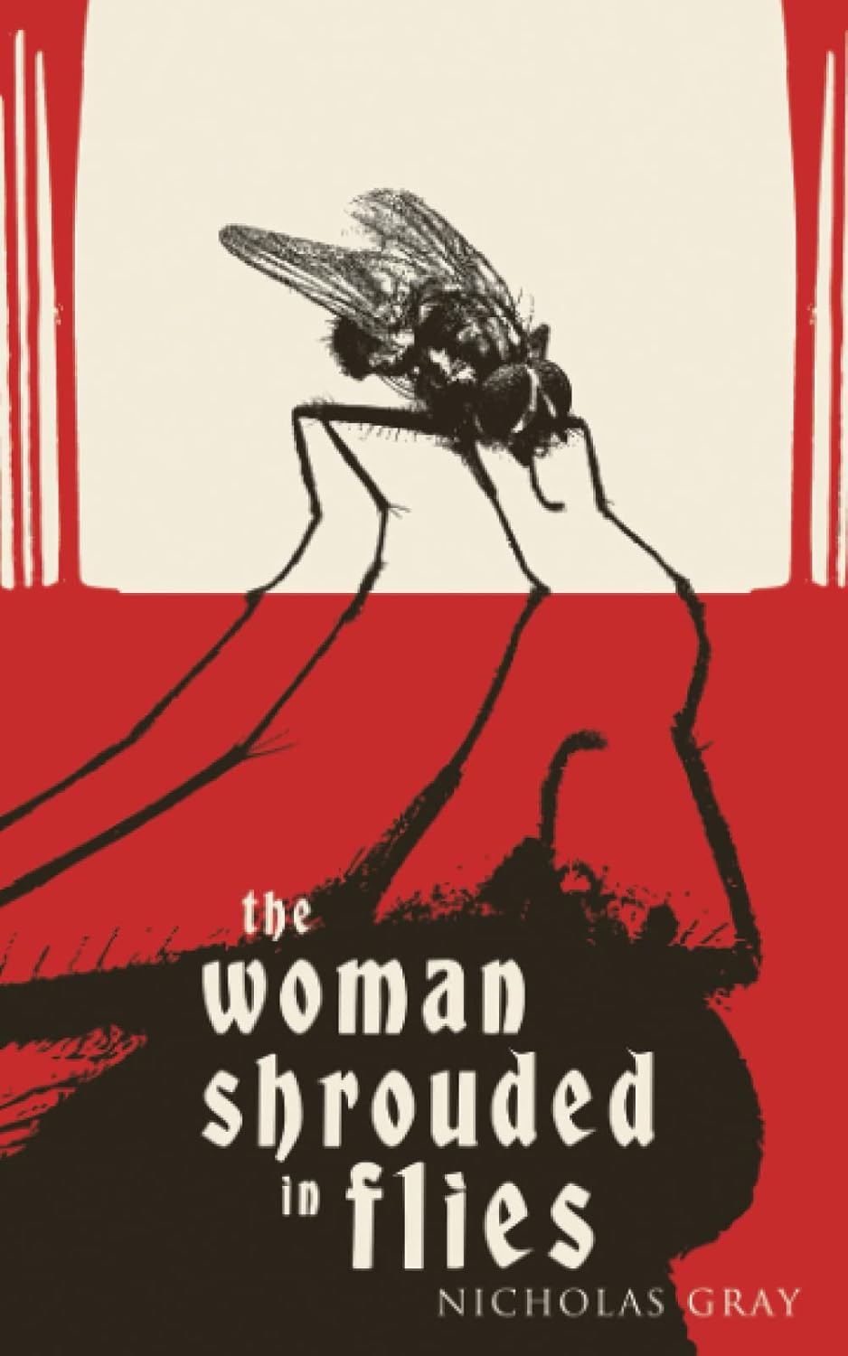 The Woman Shrouded in Flies: A Novelette poster