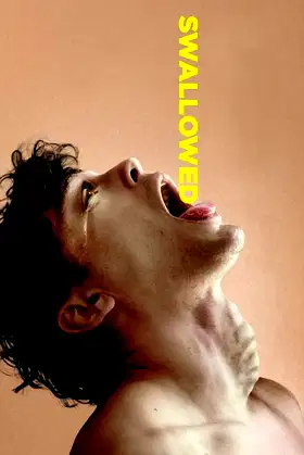 Swallowed poster