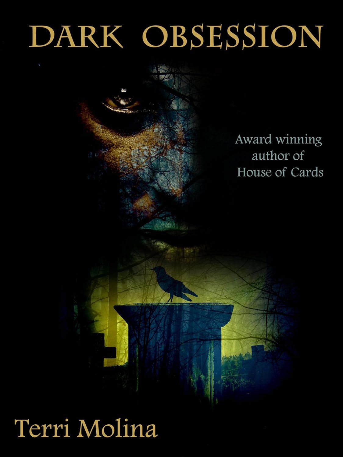 Dark Obsession poster