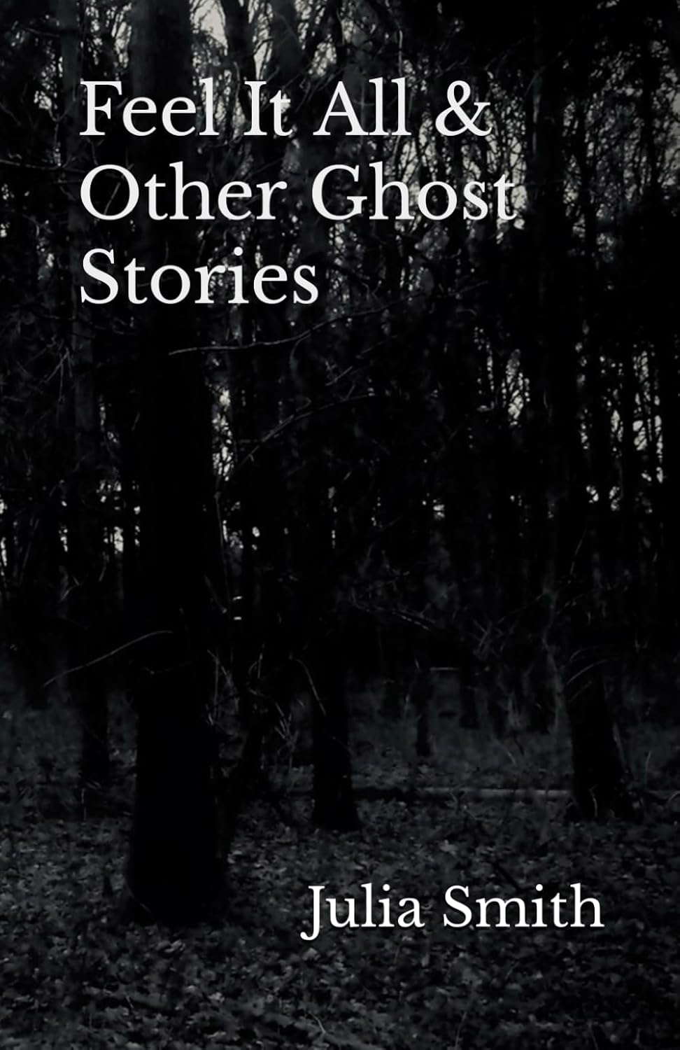 Feel It All & Other Ghost Stories poster