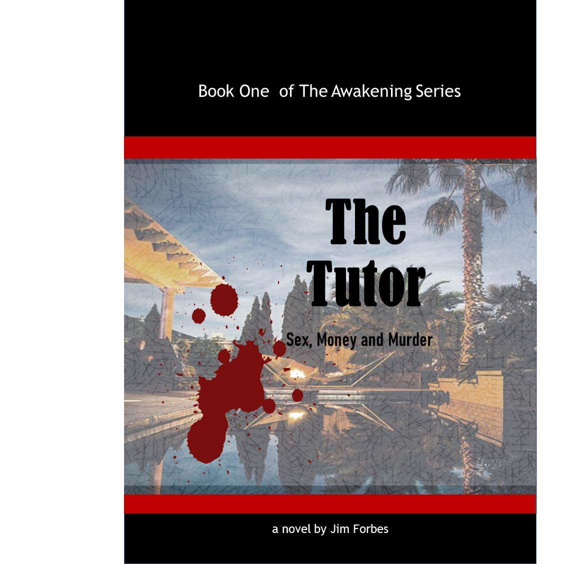The Tutor: Sex, Money and Murder (The Awakening Book 1) poster