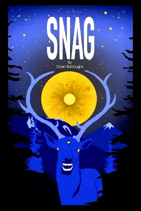 Snag poster