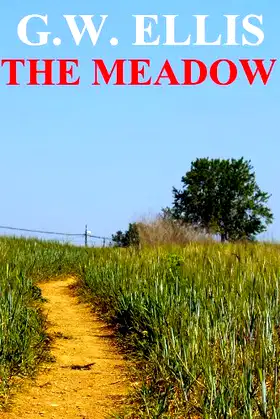 The Meadow poster