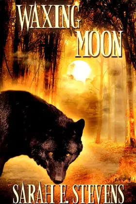 Waxing Moon (Calling the Moon) poster