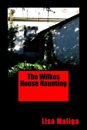 The Wilkes House Haunting poster