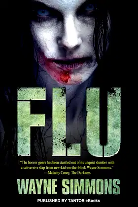 Flu poster
