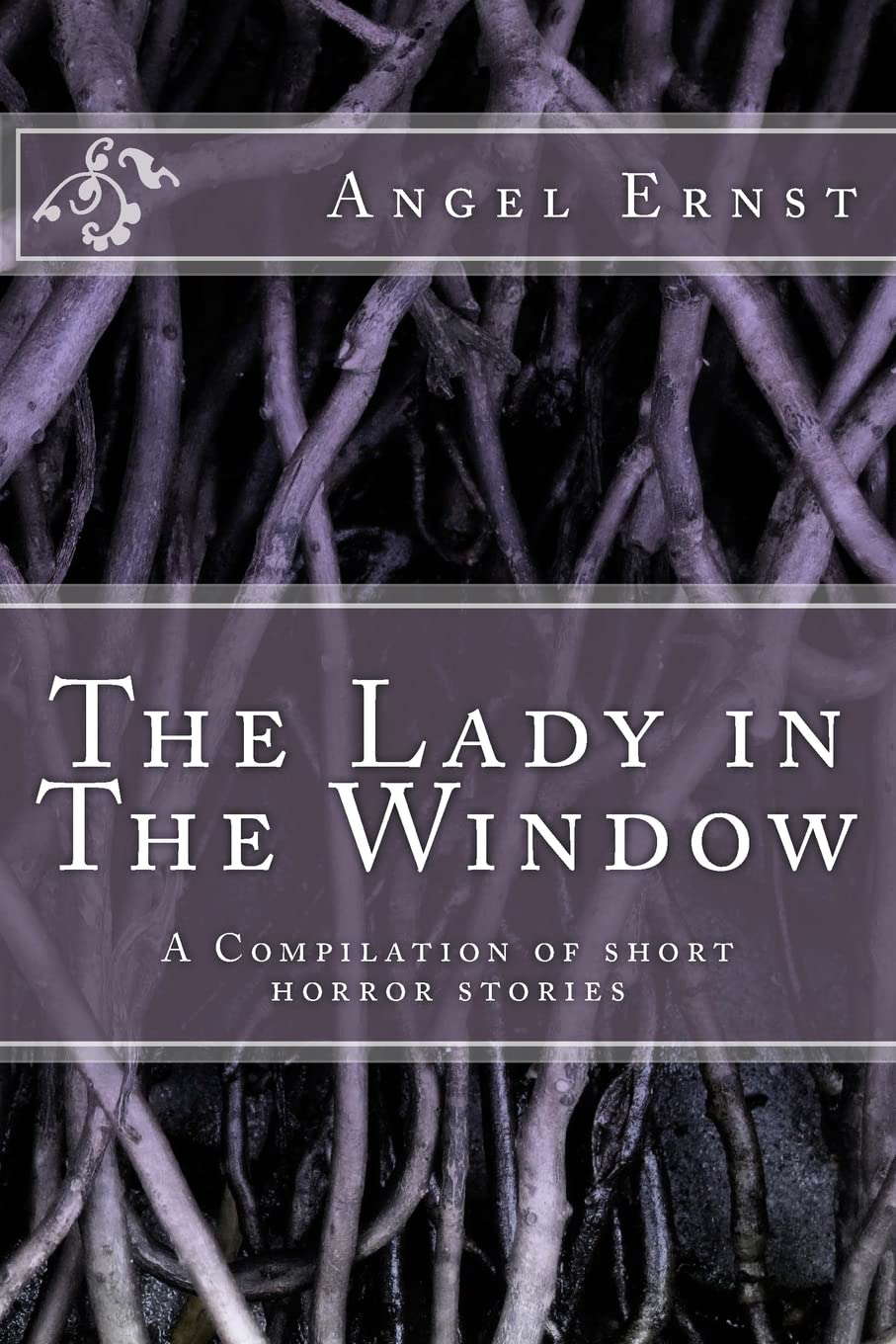 The Lady in The Window: A Compilation of short horror stories poster