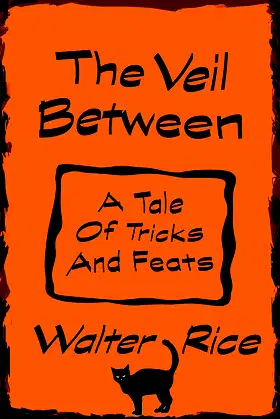 The Veil Between poster