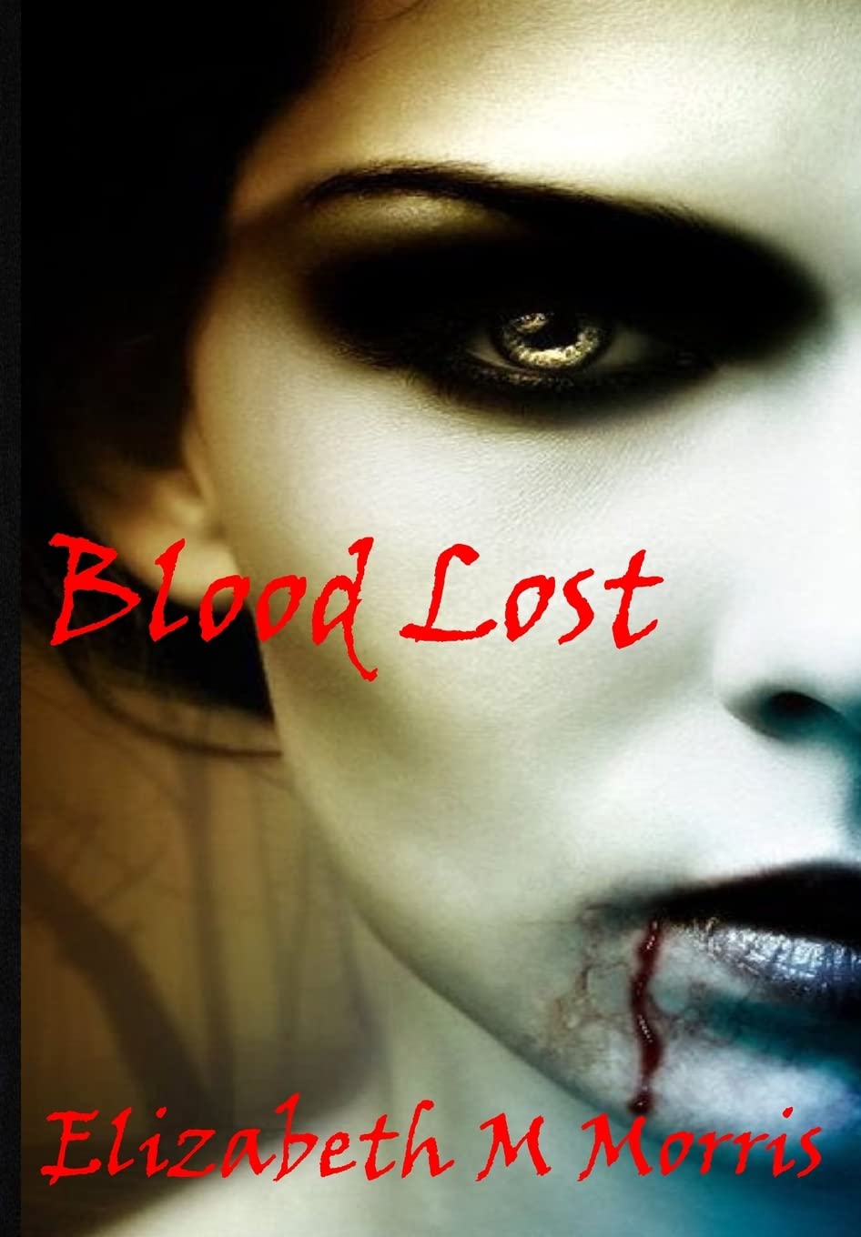 Blood Lost poster