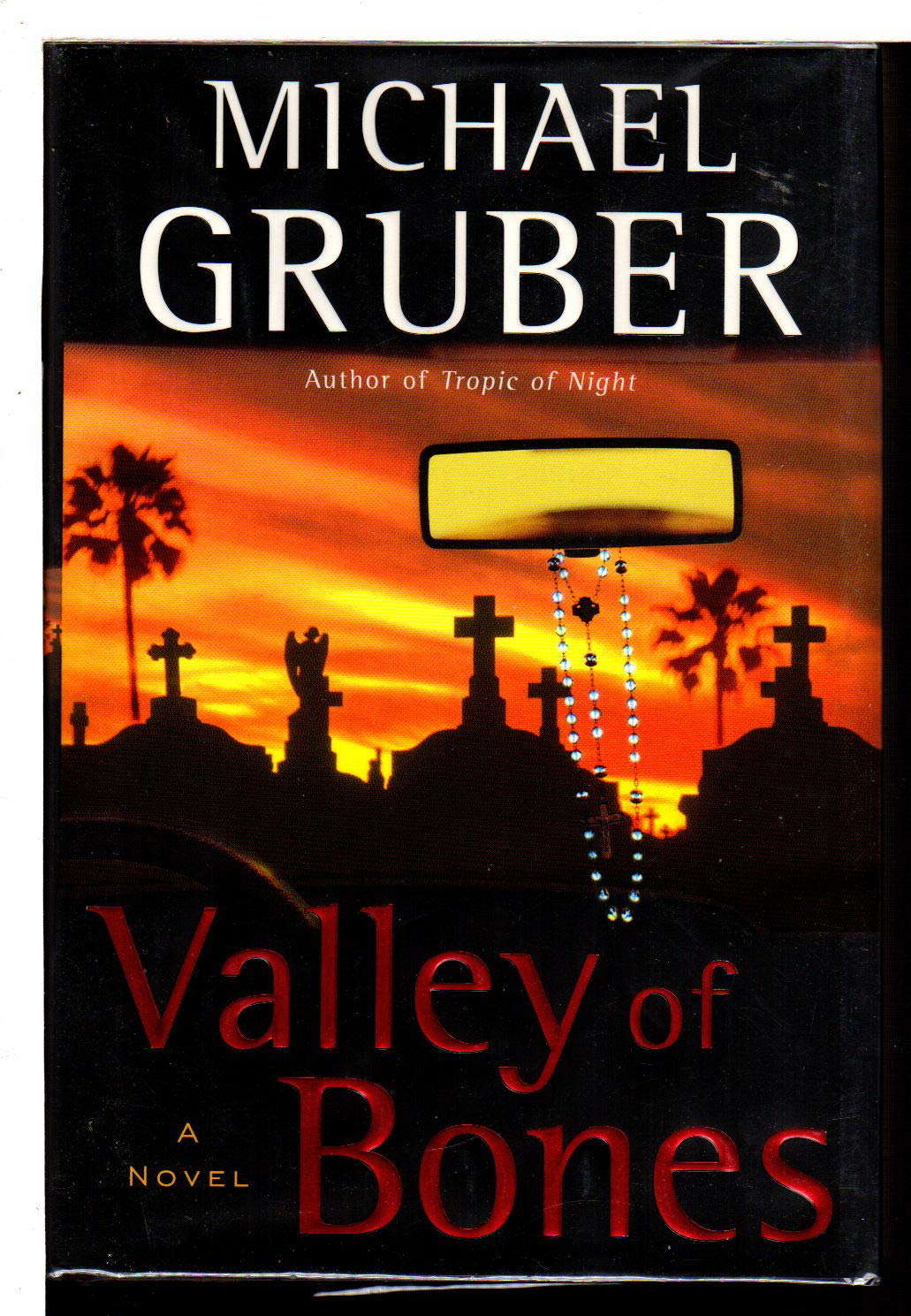 Valley of Bones poster