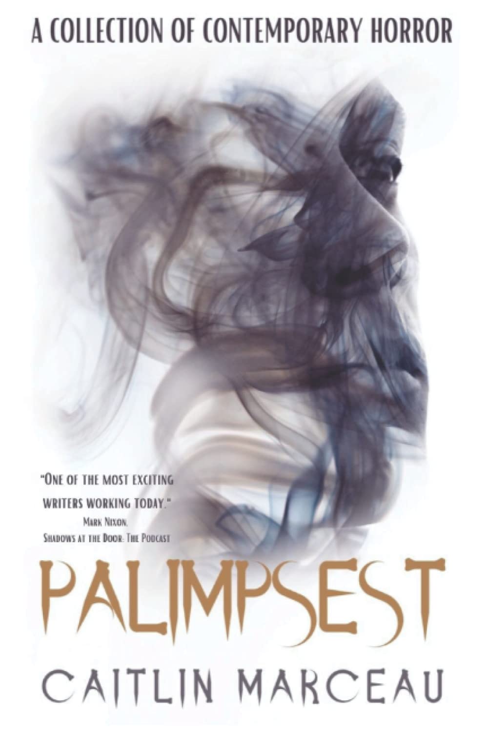 Palimpsest: A Collection of Contemporary Horror poster