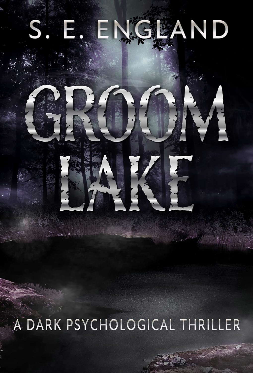 Groom Lake: A Dark Psychological Thriller poster