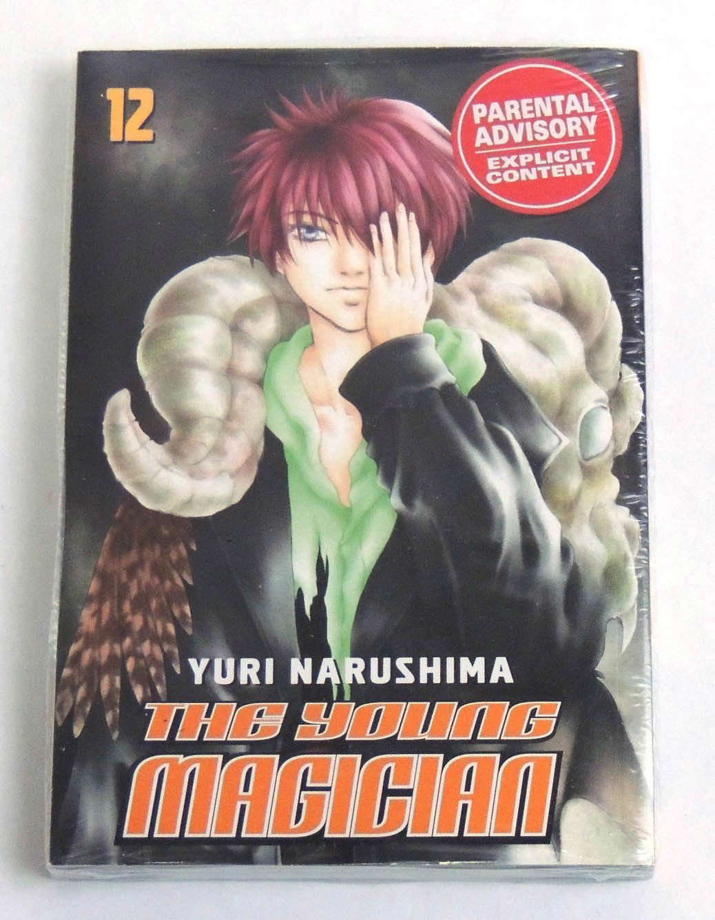 The Young Magician 12 poster
