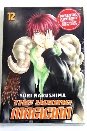 The Young Magician 12 poster