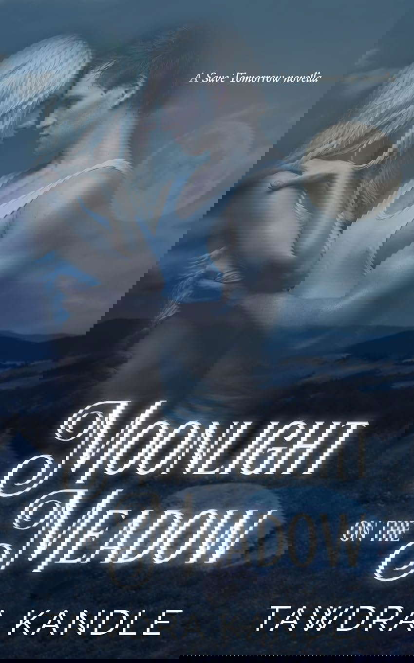 Moonlight on the Meadow (Save Tomorrow) poster
