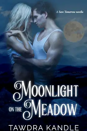 Moonlight on the Meadow (Save Tomorrow) poster