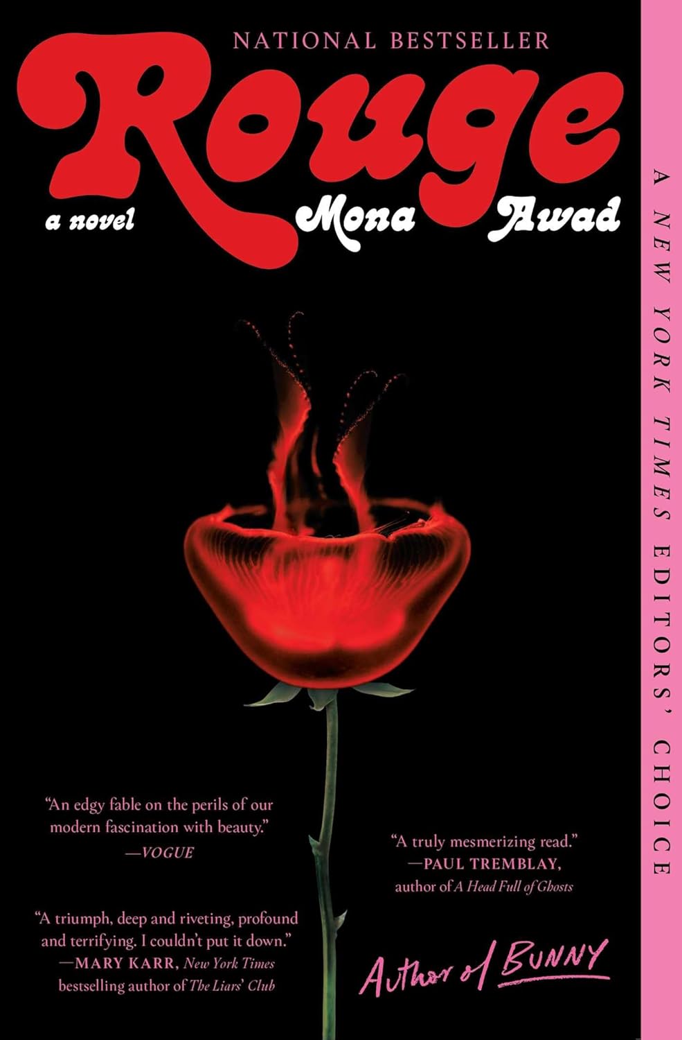 Rouge: A Novel poster