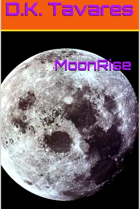 Moonrise poster