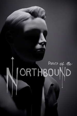Pieces of Me: Northbound poster