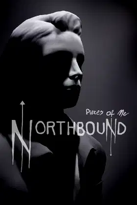 Pieces of Me: Northbound poster